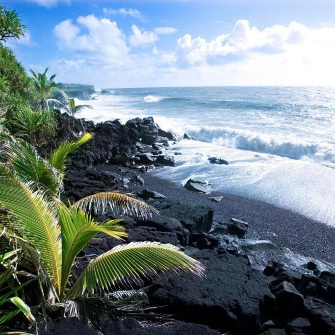 Beautifully Renovated Oceanfront Condo W/ Breathe Taking Views! - Hale Kona Kai 302 Kailua-Kona Exterior photo