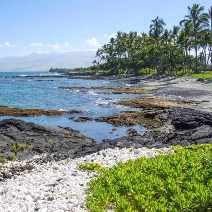 Beautifully Renovated Oceanfront Condo W/ Breathe Taking Views! - Hale Kona Kai 302 Kailua-Kona Exterior photo