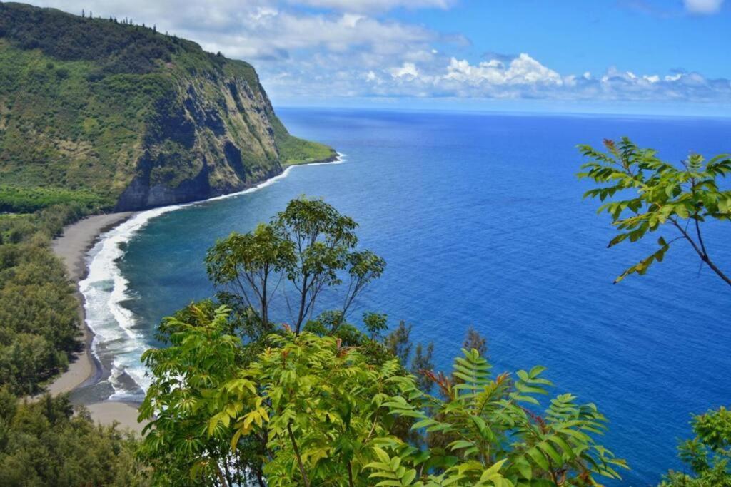 Beautifully Renovated Oceanfront Condo W/ Breathe Taking Views! - Hale Kona Kai 302 Kailua-Kona Exterior photo